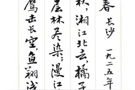 费新我先生毛笔行书作品，非常好看，可当硬笔字帖图片