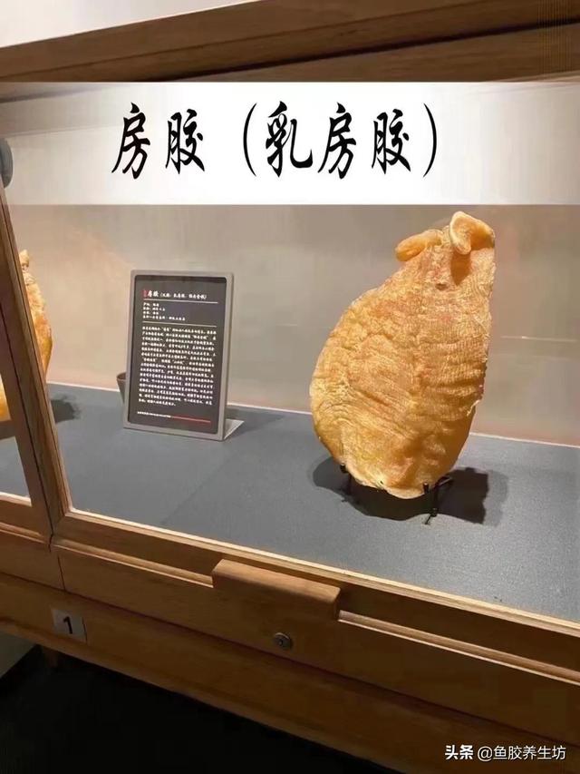 澳大利亚的花胶好吗 2026年澳洲买花胶便宜吗 澳大利亚的花胶好吗 2026年澳洲买花胶便宜吗