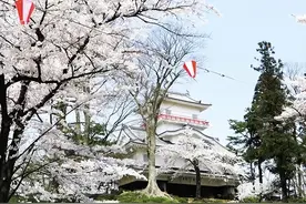 日本东北巡回遇见之旅花卉特辑（第三期）图片