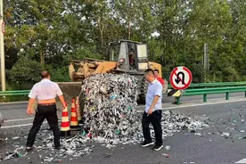 收费站遇“巨物”掉落 现场工作人员迅速处置危情图片