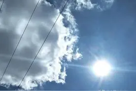 夏天多喝菊花茶，清凉甘甜气色佳，3种搭配，满足你的味蕾需求图片