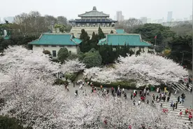 学大汉武立国，百年学府，武汉大学欢迎你图片