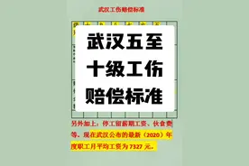 武汉五至十级工伤赔偿标准#工伤#工伤赔偿#法律咨询视频封面