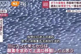 日本多地出现异象，是地震前兆？如果日本沉没，我国该接收难民吗图片