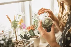 我不想结婚谈恋爱，只想有个自己生的孩子！图片