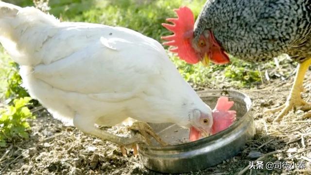 怎样知道配方能不能用？