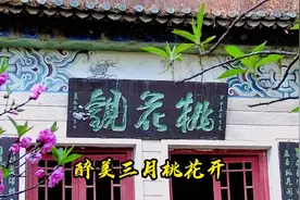 醉美三月桃花开图片