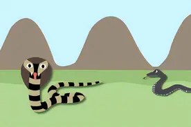 眼镜王蛇到底有多可怕？被眼镜王蛇攻击时该如何自救？图片