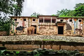 广州动物园的大象图片