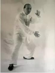 taijiquan 太极拳 taijiquan 太极拳
