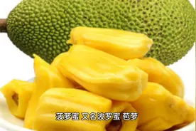 菠萝蜜—宝妈孕期、坐月子期、哺乳期必须了解的知识图片