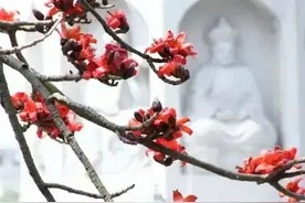 梅花易数快速起卦断生意图片