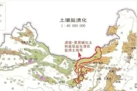 大羊为美独家：宁夏人都该知道的羊肉人文知识（转发）图片