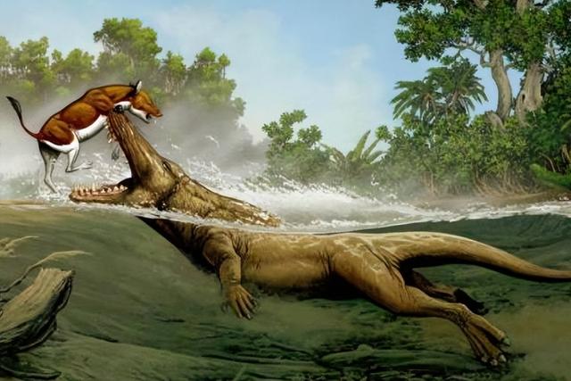 地球巨无霸蓝鲸,鲸吞长海吞吐万象,其祖先竟是一只"小狗"