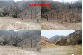 山西柳林县福山公司破坏基本农田62亩为何逍遥法外图片