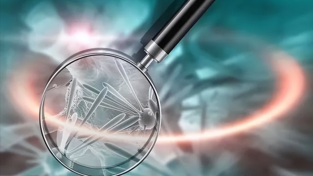 ʮ��ڿƼ���������ֲ���ŵ�3���쿴������ʲô��