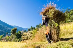 作为计量单位，“一石”的“石”字，究竟念“dàn”还是“shí”？图片