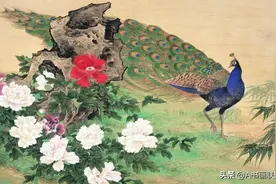柳浪画派——画说孔雀：孔雀的画法图片