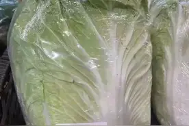 昏头了！一棵白菜卖77.9元！上海高岛屋被顶格罚款50万元！网友：要罚得彻底图片