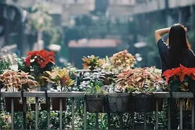 相由心生，其实是真的图片