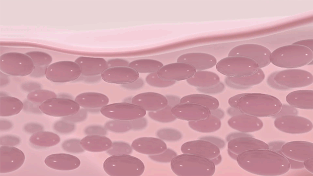 鱼胶的禁忌与副作用 2026年鱼胶的禁忌与副作用