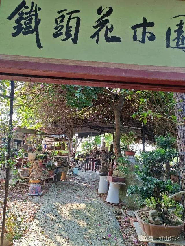 诏安行 // 陈清东