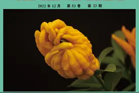 口服中成药治疗多囊卵巢综合征有效性与安全性图片