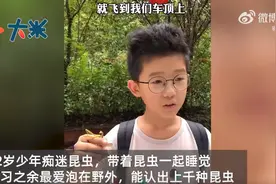 12岁少年成“昆虫科普大神”，如何让孩子一直保持学习热情？图片