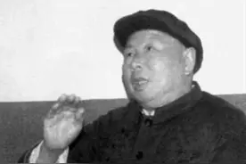 史海钩沉：腥风血雨满门忠烈，平生功过自有评说-老革命这一辈子图片