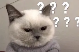 胃不舒服，应该做什么检查？有这7个症状当心是癌症早期图片