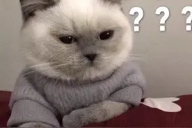 胃不舒服，应该做什么检查？有这7个症状当心是癌症早期图片