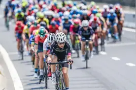 “她”骑行纪实：20年崇明岛风景如画图片