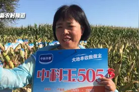 抗旱、抗倒、又抗病，这个大棒玉米品种亩产2106斤，推广1000万亩图片