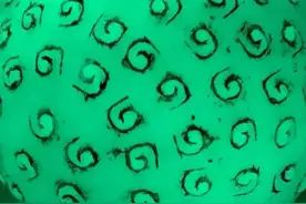 夜明珠是传说还是稀罕之物图片