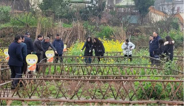 四川省民生研究会新媒体中心-官网