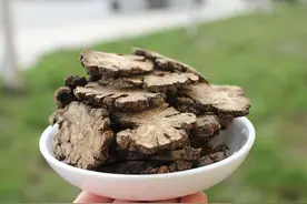 通气散三味中药，散结、开郁、通气血图片