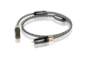 数字同轴（COAXIAL）接口，你不知道的秘密？图片