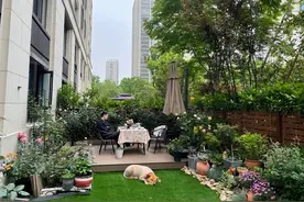 再喜欢，这6种花也不能带进院子里，惹家人埋怨，还会得罪邻居图片