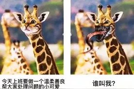 “学医的绝了”，00后大学生晒入职前后对比，是上班还是上刑场？图片