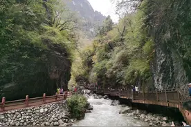 宕昌官鹅沟，甘肃的“小九寨”，看值不值得游玩的5A景区图片