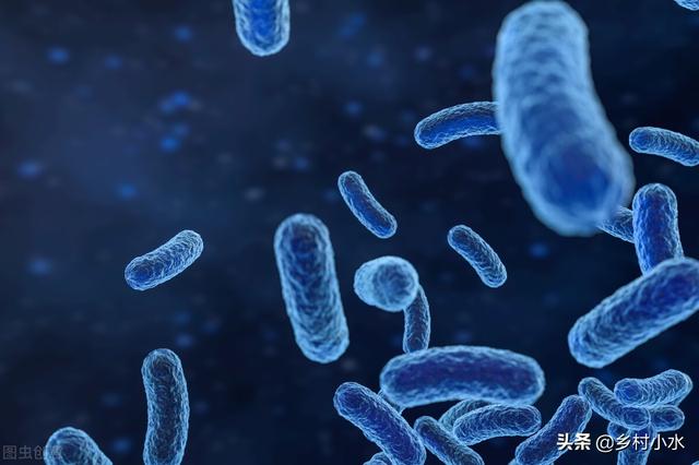 蔬菜生病只会喷农药？用这水浇一浇，蔬菜病害少，叶片油绿长势旺