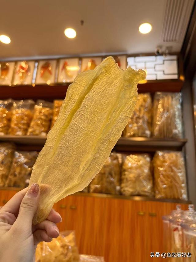 2头陈年安南双芽鱼胶价格 2026年安南双牙鱼胶图片