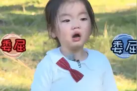 “赚钱养家”阿拉蕾：上节目赚钱养弟弟，被孙红雷一句话整破防图片
