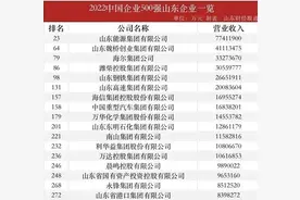 中国企业500强公布，山东这50家上榜图片