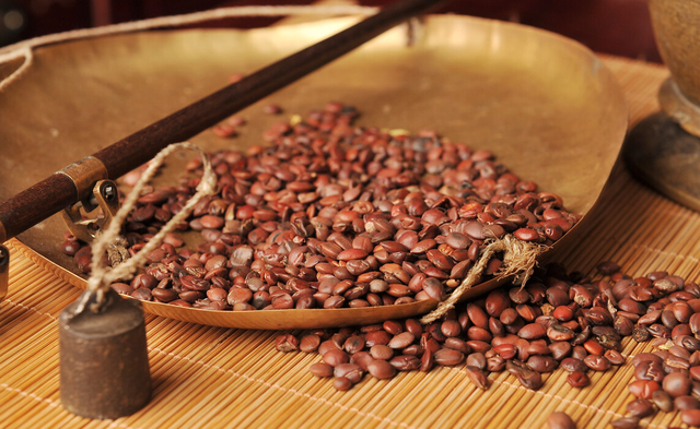 花胶鱼翅炖木瓜牛奶 花胶鱼翅炖木瓜牛奶怎么做