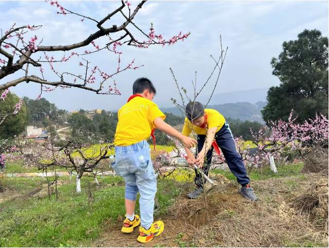 四川省民生研究会新媒体中心-官网