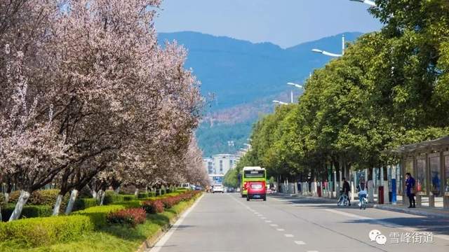 四川省民生研究会新媒体中心-官网