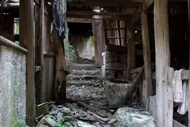 贵州安顺城郊惊现无人村，深宅大院长满杂草，为何荒废细思极恐图片