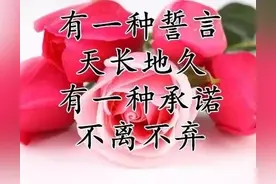 520表白表情包图片