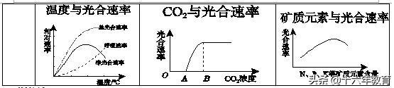 高中生物三年必背知识最全汇总（建议打印）
